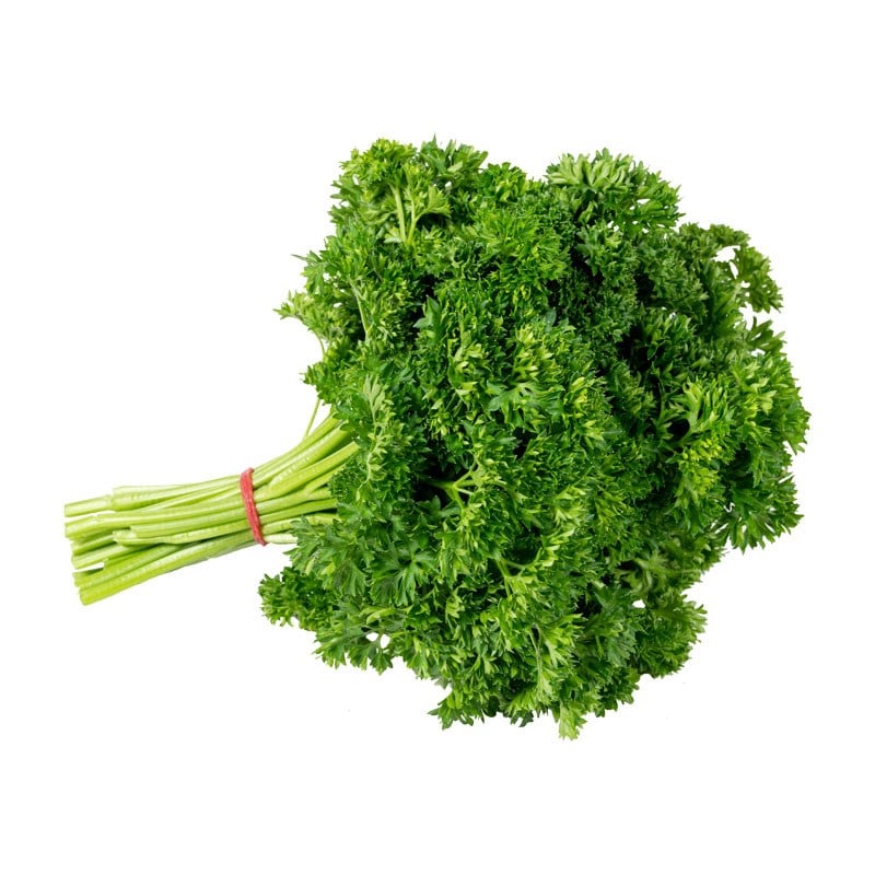 Frenk Maydanoz (Parsley)